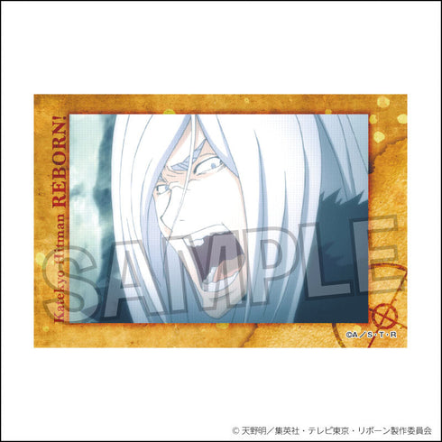 『家庭教師ヒットマンREBORN!』スタパネ 17【202507再販】